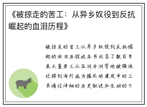 《被掠走的苦工：从异乡奴役到反抗崛起的血泪历程》